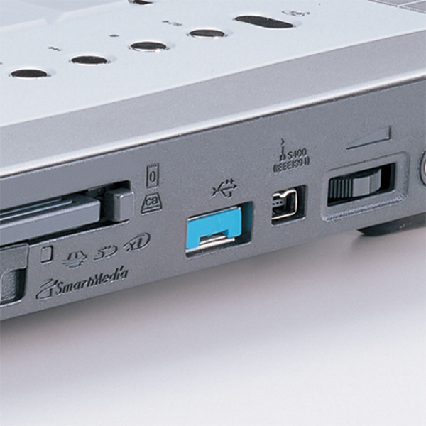 SANWA SL-46-BL 스윙형 USB포트 연결 잠금장치(블루)