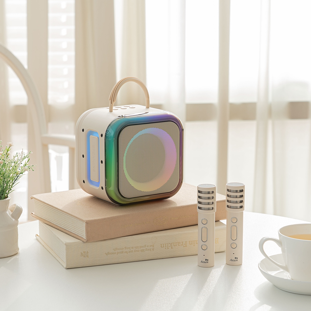 액센 K210 LED 무드라이팅 올인원 휴대용 블루투스 듀엣 노래방 더블 마이크 스피커