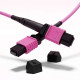 넥스트유 MPO OM4 100G B타입 광 패치코드 5m MPO-405MM-100G