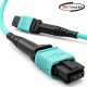 강원전자 넷메이트 OM3 8C MPO 광점퍼코드 2m NM-MP3802T