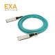 EXA GBIC Arista AOC-Q-Q-100G-5M OM3 호환 케이블 EXA-Q28AOC305-ARI