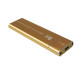 NVMe SSD 외장 케이스 골드