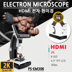 전자현미경